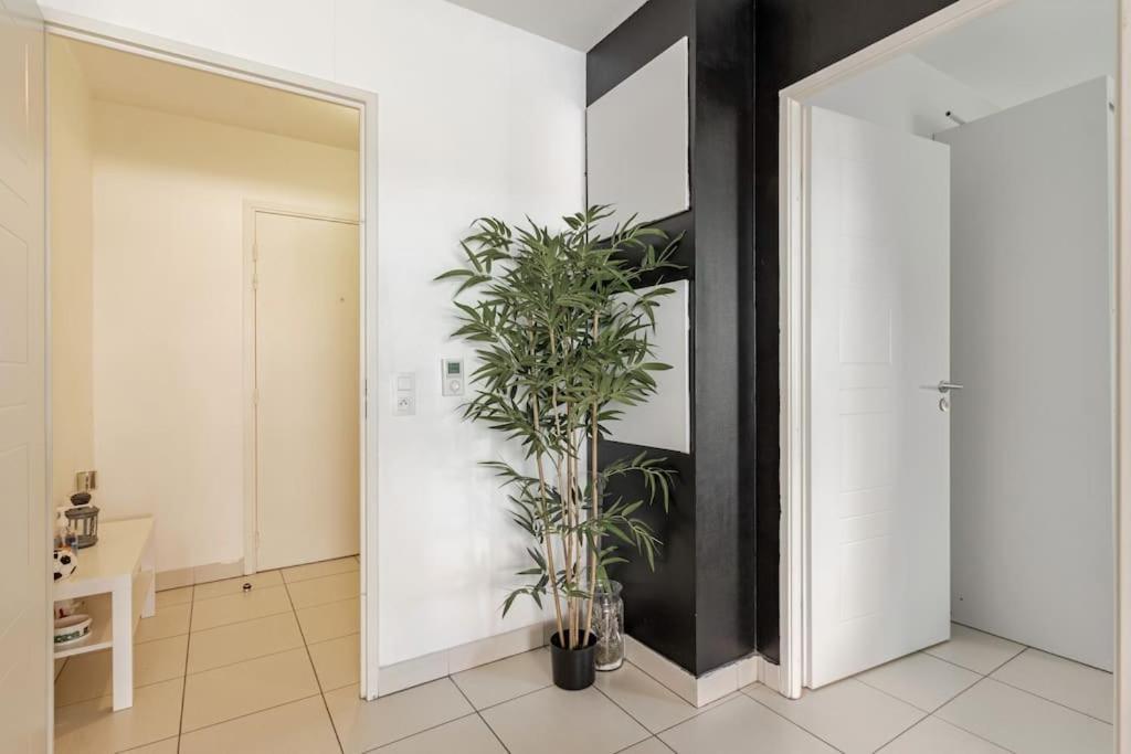 Appartement Cosy Et Chic Μονπελιέ Εξωτερικό φωτογραφία